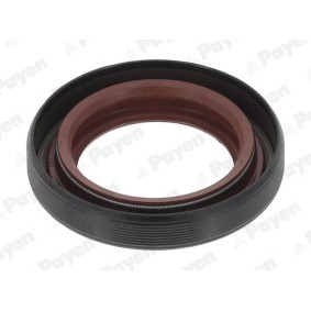 Wellendichtring, Differential NA5205