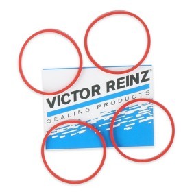 PEUGEOT Dichtungssatz, Ansaugkrümmer von REINZ
