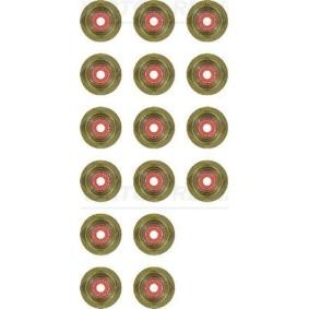 Comprar Juego de juntas, vástago de válvula de REINZ 12-34264-01 a bajo precio de 17,55 €