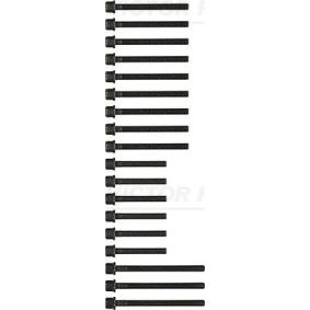 Zylinderkopfschraubensatz von REINZ
