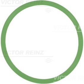 Ansaugkrümmerdichtung von REINZ