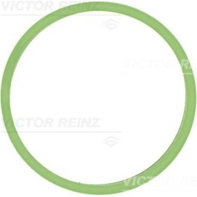 Ansaugkrümmerdichtung von REINZ