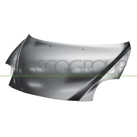Motorhaube AA2103100