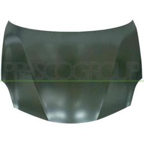 Motorhaube AA3443100