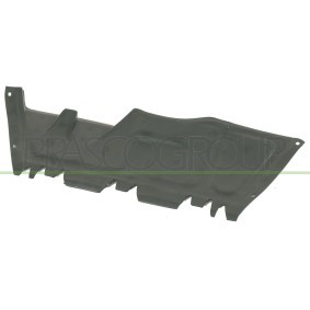 Comprar Tulipa, piloto intermitente de PRASCO AD0134103 a bajo precio de 27,21 €