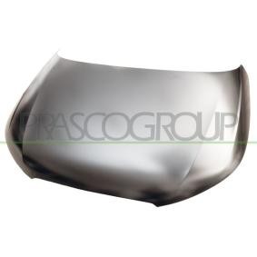 Motorhaube AD1203100