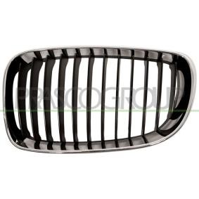 Kühlergrill BM1212004