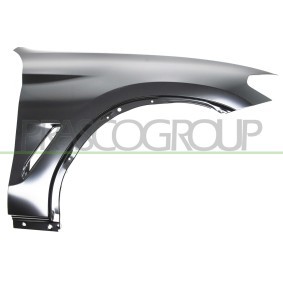 Kühlergrill CI0502001