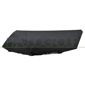 Motorhaube DG0113110