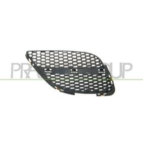 Kühlergrill DS4242003