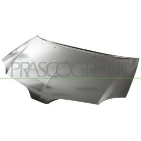 Motorhaube DS7253100