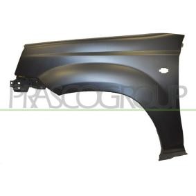 Kotflügel DS8303013