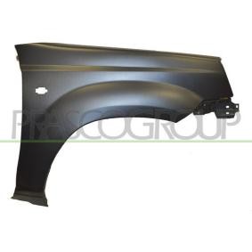 Kotflügel DS8303014