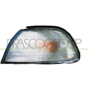 Blinker von PRASCO