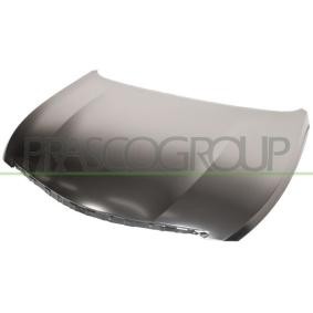 Motorhaube HN0233100