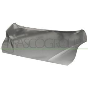 Motorhaube HN4203100