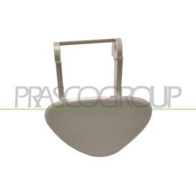 Compre Friso de para-choques de PRASCO online para Classe C T-modell (S203) a preços moderados