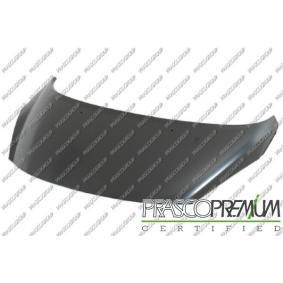 Motorhaube PG3203130