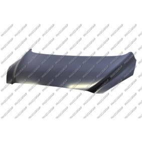Motorhaube PG4243100