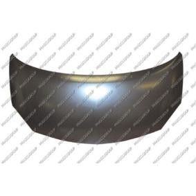 Motorhaube RN3073100