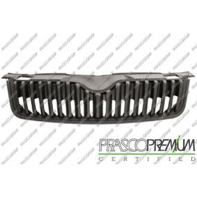 Kühlergrill SK3252001