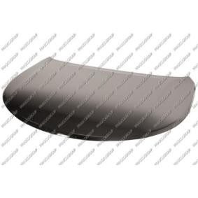 Motorhaube TY2463100