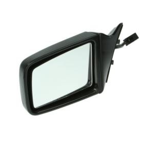 Acquista Specchietto retrovisore esterno da BLIC 5402-04-1125239P a buon mercato per soli 56,84 €