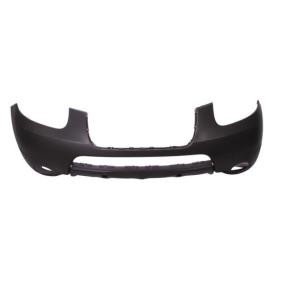 Achetez des Pare-choc BLIC 5510-00-3181900P à prix pour 53,82 €