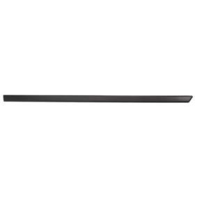 Comprar Listón embellecedor / protector, puerta de BLIC 5703-04-2564576P a bajo precio de 16,65 €