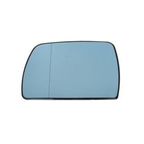 Spiegelglas, Außenspiegel 6102-02-1221520P