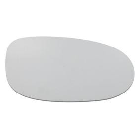 Spiegelglas, Außenspiegel 6102-02-1292533P