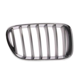 Kühlergrill 6502-07-0093998P