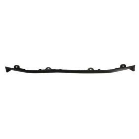Acquista Modanatura paraurti da BLIC 6502-07-3181970P a buon mercato per soli 16,15 €