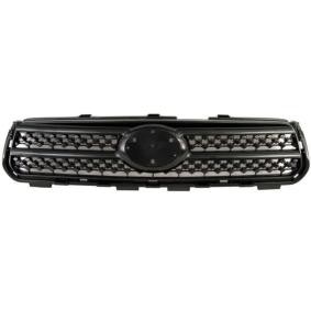 Kühlergrill 6502-07-8179990P