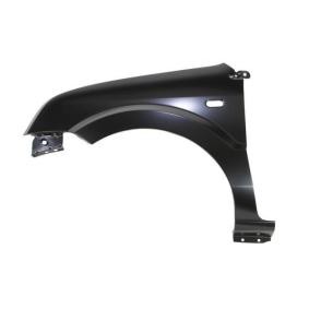 Kotflügel 6504-04-2576311P