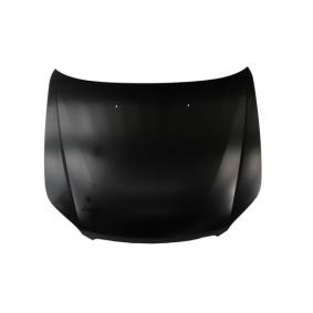 Motorhaube 6803-00-1141280P
