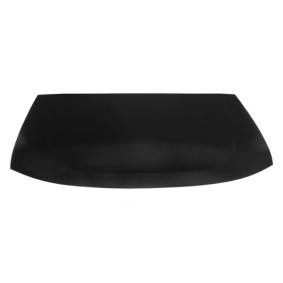Motorhaube 6803-00-1305280P