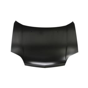 Motorhaube 6803-00-1678281P