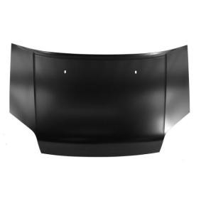 Motorhaube 6803-00-2507281P