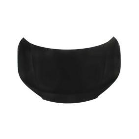 Motorhaube 6803-00-2958280P