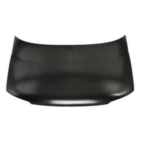 Motorhaube 6803-00-3132280P