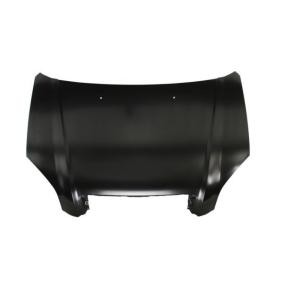 Motorhaube 6803-00-3175280P