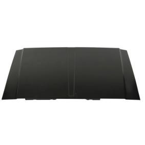 Motorhaube 6803-00-3203281P