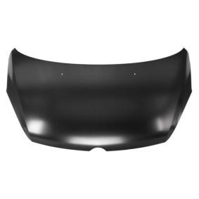 Motorhaube 6803-00-5033280P