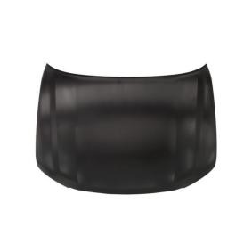 Motorhaube 6803-00-8138280P