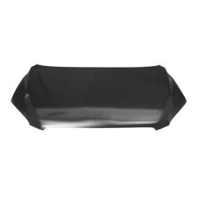 Motorhaube 6803-00-8179281P