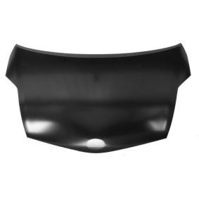 Motorhaube 6803-00-8198280P