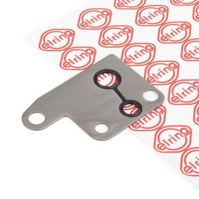 Acquista Guarnizione, Pompa depressione da ELRING 251.080 a buon mercato per soli 8,99 €