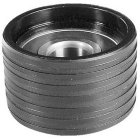 Comprar Polea de inversión y guía, correa de distribución de MAGNETI MARELLI 331316170114 a bajo precio de 12,56 €