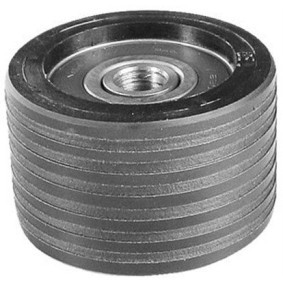 Comprar Polea de inversión y guía, correa de distribución de MAGNETI MARELLI 331316170115 a bajo precio de 17,97 €